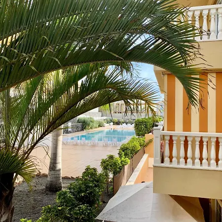 Primavera * Арона